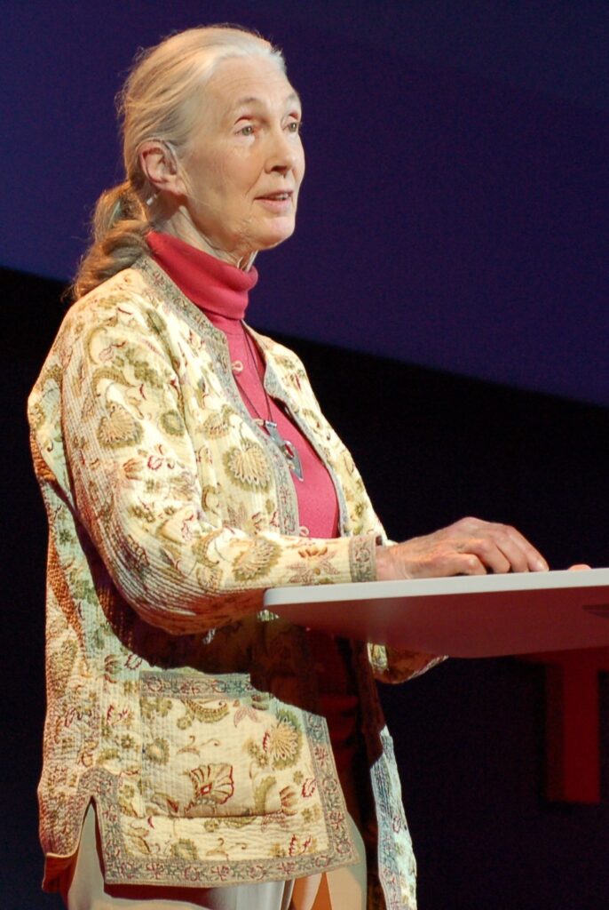 Jane_Goodall_at_TEDGlobal_2007-cropped