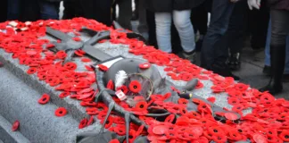 11/11 Day: Remembrance & Armistice 11/11 Day